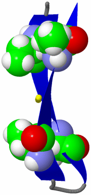 Image NMR Structure - model 1