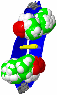 Image NMR Structure - all models