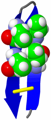 Image NMR Structure - model 1