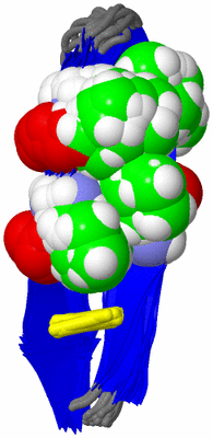 Image NMR Structure - all models