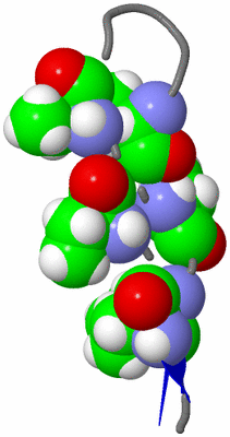 Image NMR Structure - model 1