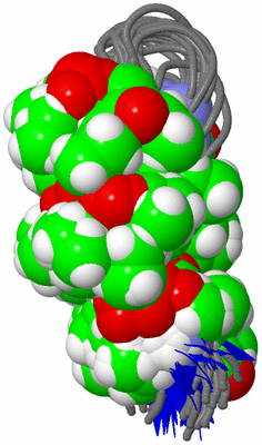 Image NMR Structure - all models