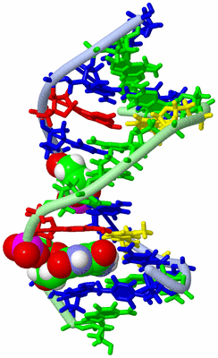 Image NMR Structure - model 1