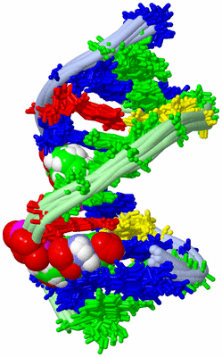 Image NMR Structure - all models