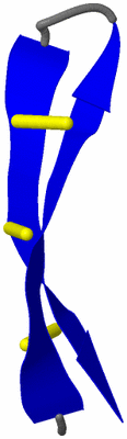 Image NMR Structure - model 1