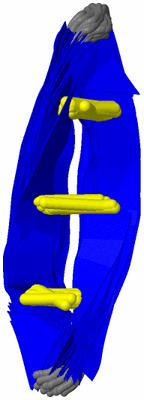 Image NMR Structure - all models