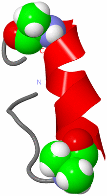 Image NMR Structure - model 1