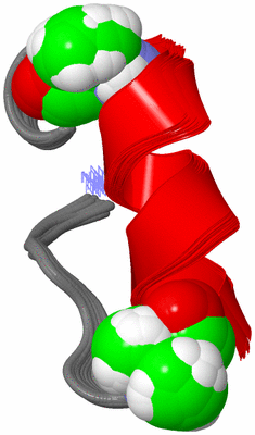 Image NMR Structure - all models