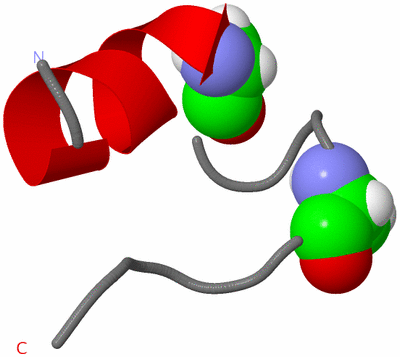 Image NMR Structure - model 1