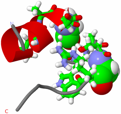 Image NMR Structure - model 1, sites