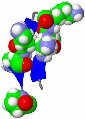 Image NMR Structure - model 1