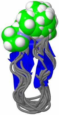 Image NMR Structure - all models