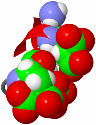 Image NMR Structure - model 1