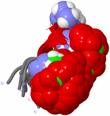 Image NMR Structure - all models