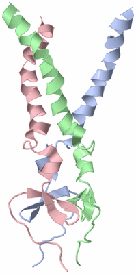 Image NMR Structure - model 1