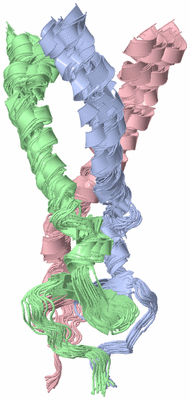 Image NMR Structure - all models