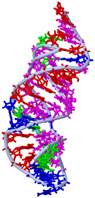 Image NMR Structure - model 1