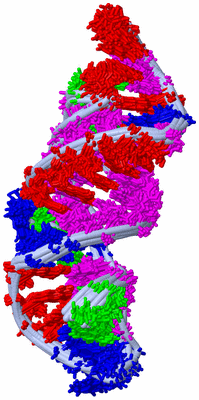 Image NMR Structure - all models