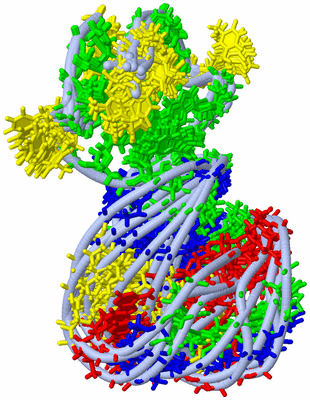 Image NMR Structure - all models