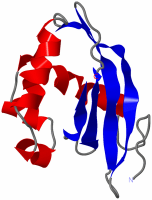 Image NMR Structure - model 1