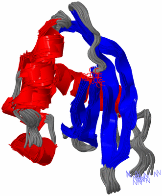 Image NMR Structure - all models