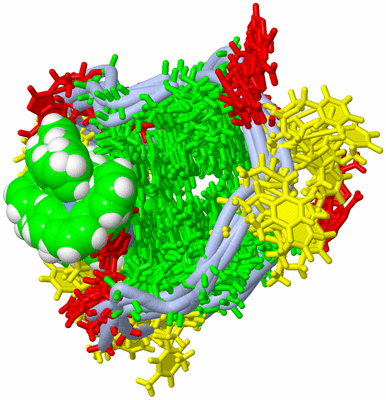 Image NMR Structure - all models