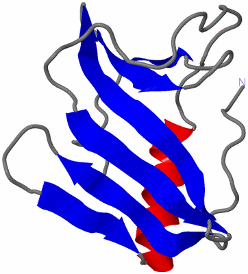 Image NMR Structure - model 1