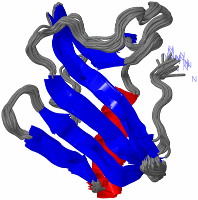 Image NMR Structure - all models