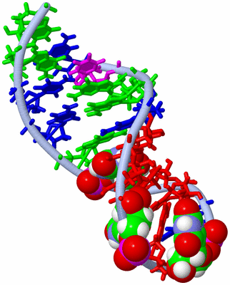 Image NMR Structure - model 1