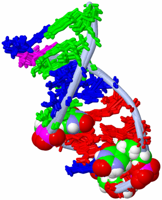 Image NMR Structure - all models