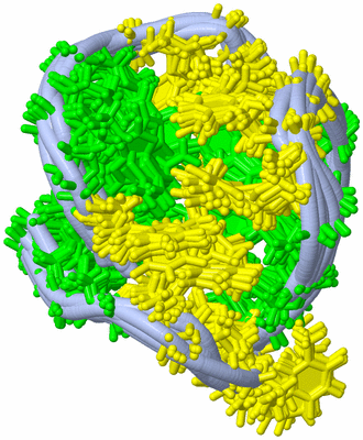 Image NMR Structure - all models