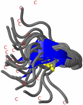 Image NMR Structure - all models