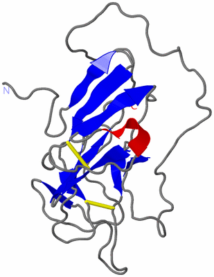 Image NMR Structure - model 1