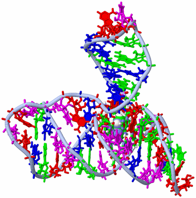 Image NMR Structure - model 1, sites