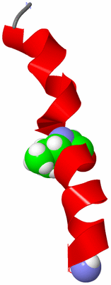 Image NMR Structure - model 1