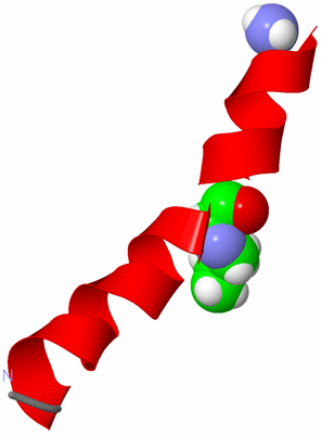 Image NMR Structure - model 1