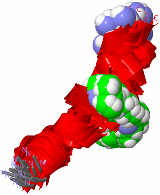 Image NMR Structure - all models