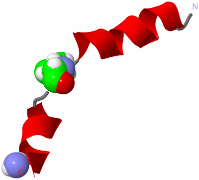 Image NMR Structure - model 1