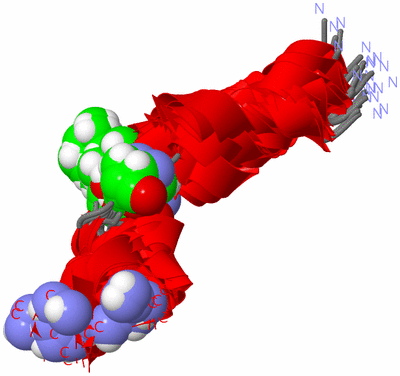 Image NMR Structure - all models