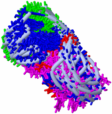 Image NMR Structure - all models