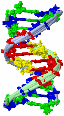 Image NMR Structure - all models