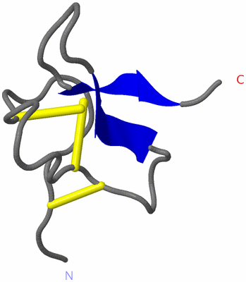 Image NMR Structure - model 1