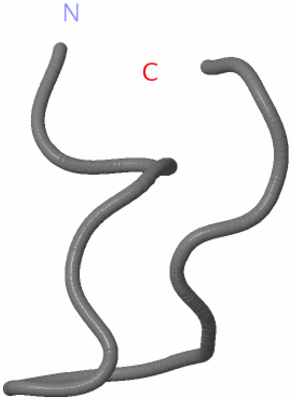 Image NMR Structure - model 1