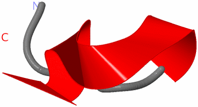 Image NMR Structure - model 1