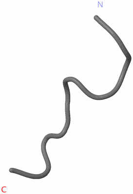 Image NMR Structure - model 1