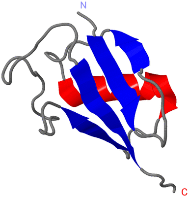 Image NMR Structure - model 1