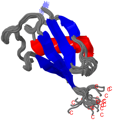 Image NMR Structure - all models