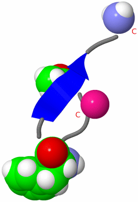 Image Theoretical Model