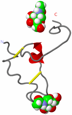 Image NMR Structure - model 1