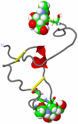 Image NMR Structure - model 1, sites